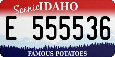 ID license plate E555536