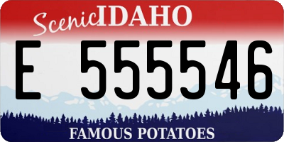 ID license plate E555546