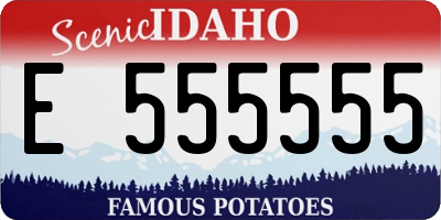 ID license plate E555555