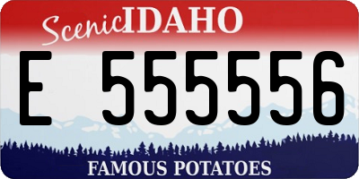 ID license plate E555556