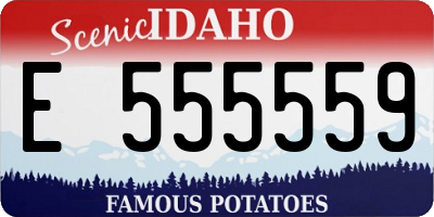 ID license plate E555559