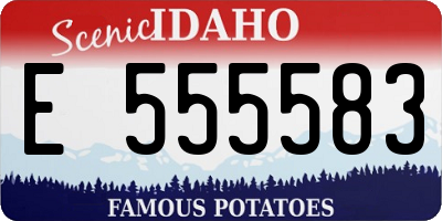 ID license plate E555583
