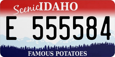 ID license plate E555584