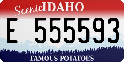 ID license plate E555593