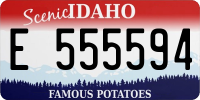 ID license plate E555594