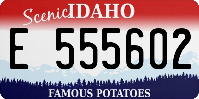 ID license plate E555602