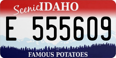 ID license plate E555609