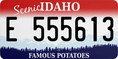 ID license plate E555613