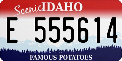 ID license plate E555614