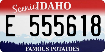 ID license plate E555618