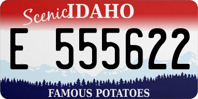 ID license plate E555622