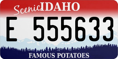 ID license plate E555633
