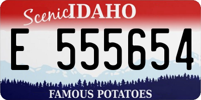 ID license plate E555654