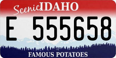 ID license plate E555658