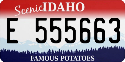 ID license plate E555663