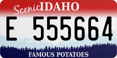 ID license plate E555664