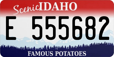 ID license plate E555682
