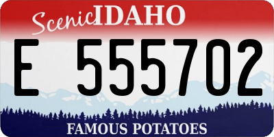 ID license plate E555702