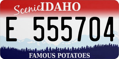 ID license plate E555704