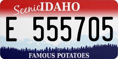 ID license plate E555705