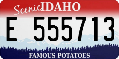 ID license plate E555713