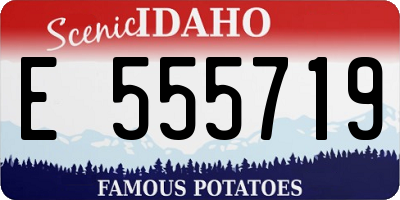 ID license plate E555719