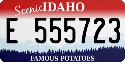 ID license plate E555723