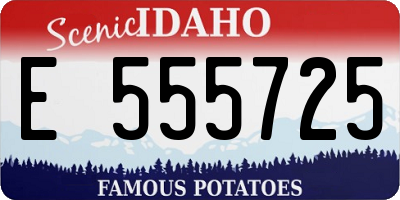 ID license plate E555725