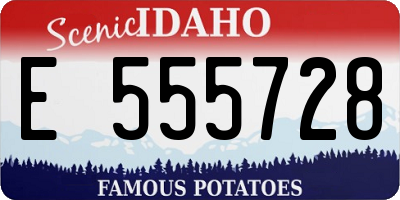 ID license plate E555728