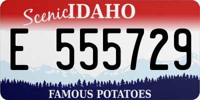 ID license plate E555729
