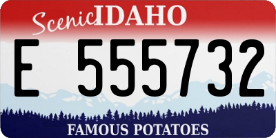 ID license plate E555732