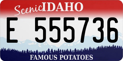 ID license plate E555736