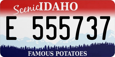 ID license plate E555737