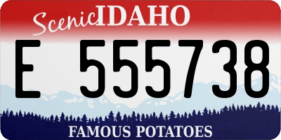 ID license plate E555738