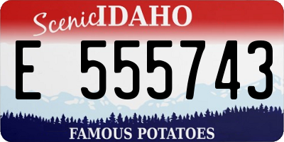 ID license plate E555743