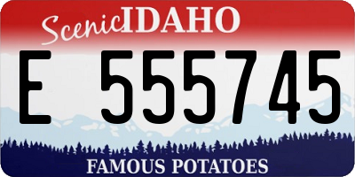 ID license plate E555745
