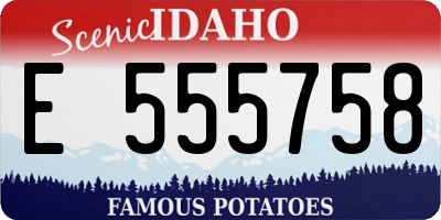ID license plate E555758