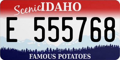 ID license plate E555768