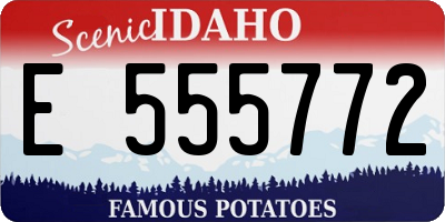 ID license plate E555772