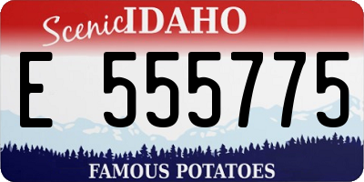 ID license plate E555775