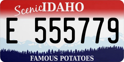 ID license plate E555779