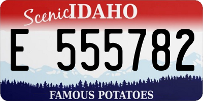 ID license plate E555782