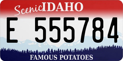 ID license plate E555784