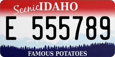 ID license plate E555789