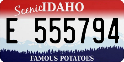 ID license plate E555794