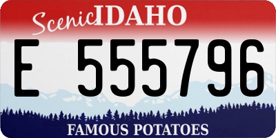 ID license plate E555796