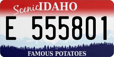 ID license plate E555801