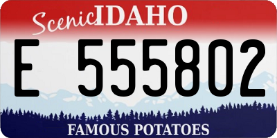 ID license plate E555802