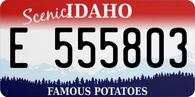 ID license plate E555803