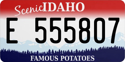 ID license plate E555807